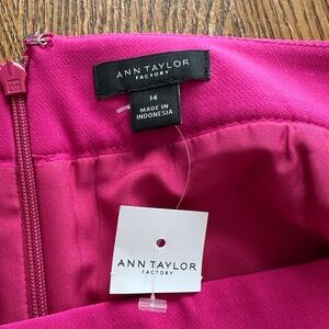 Ann Taylor Fuchsia Skirt